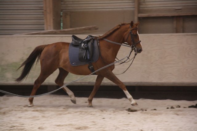 Juin 2010